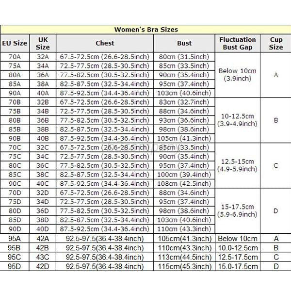 Sexy Women Lace Bra Set Cotton Embroidery Underwear Push Up Bra and Briefs SL16-Dollar Bargains Online Shopping Australia