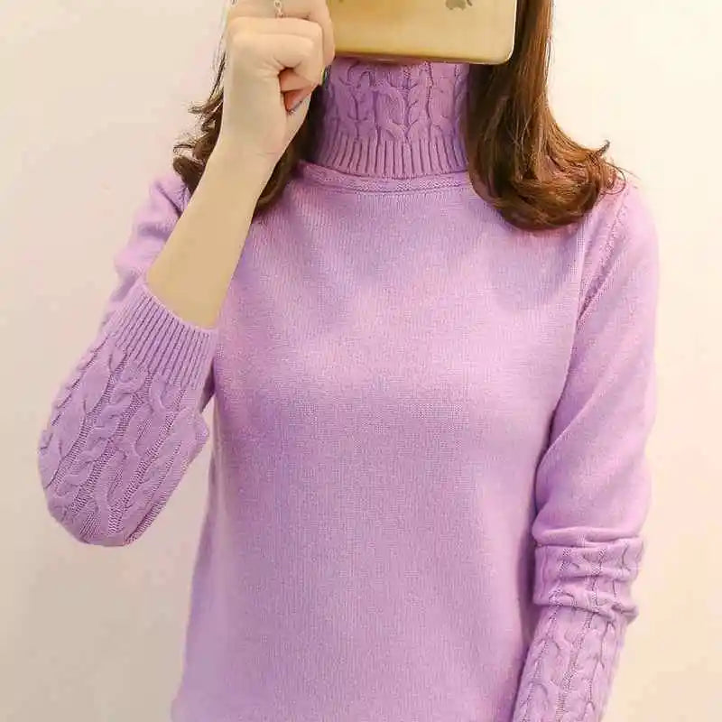 Women Sweater Turtleneck Pullovers Sweaters Long Sleeves Thick Warm Sweater-Dollar Bargains Online Shopping Australia