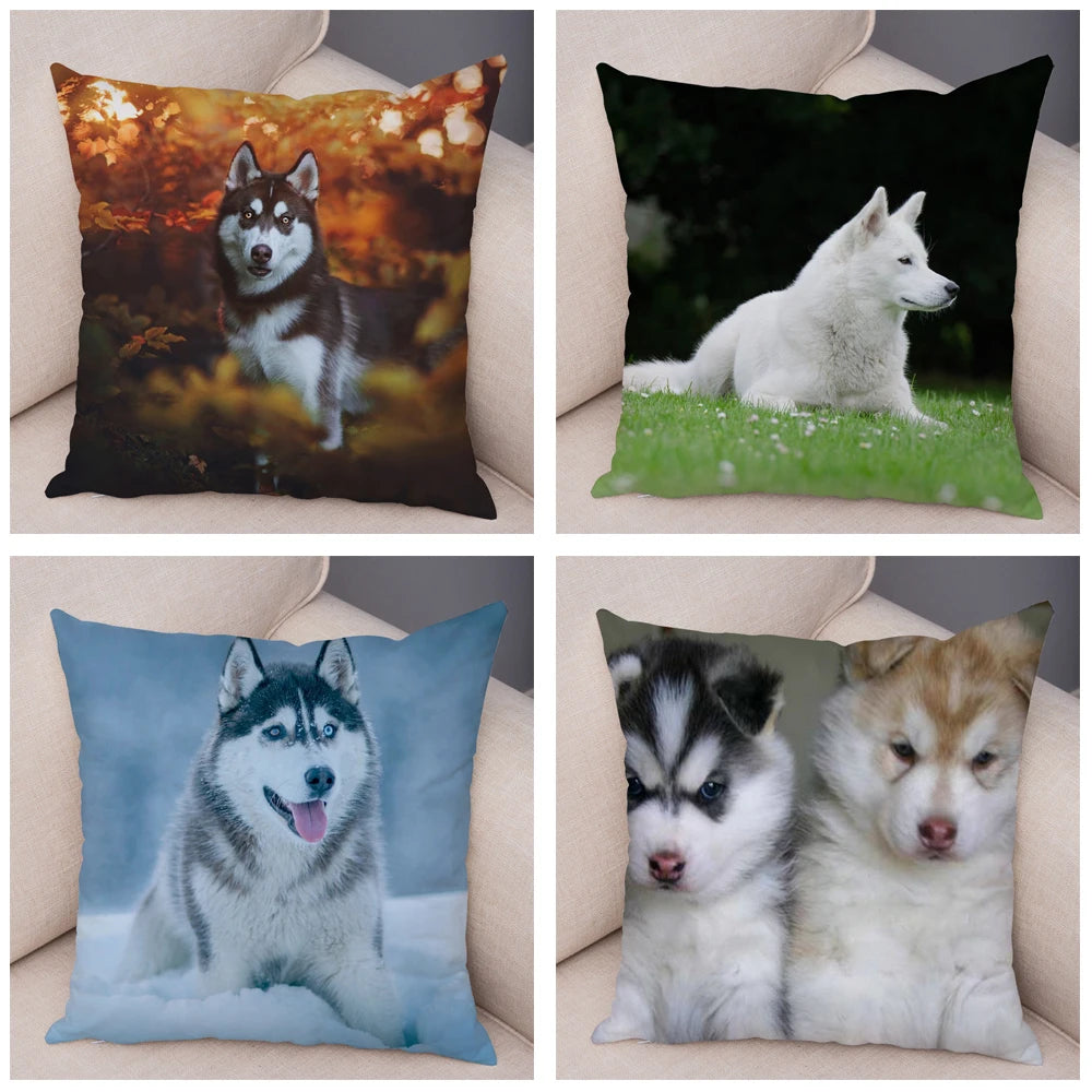 Decor Cute Siberian Husky Pillowcase Pet Dog Printed Super Soft Short Plush Pillow Case Animal Cushion Cover for Sofa