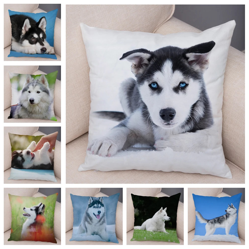 Decor Cute Siberian Husky Pillowcase Pet Dog Printed Super Soft Short Plush Pillow Case Animal Cushion Cover for Sofa