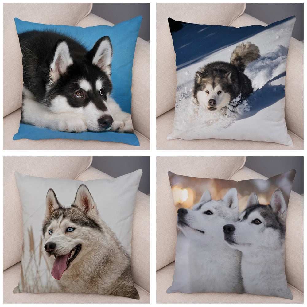 Decor Cute Siberian Husky Pillowcase Pet Dog Printed Super Soft Short Plush Pillow Case Animal Cushion Cover for Sofa