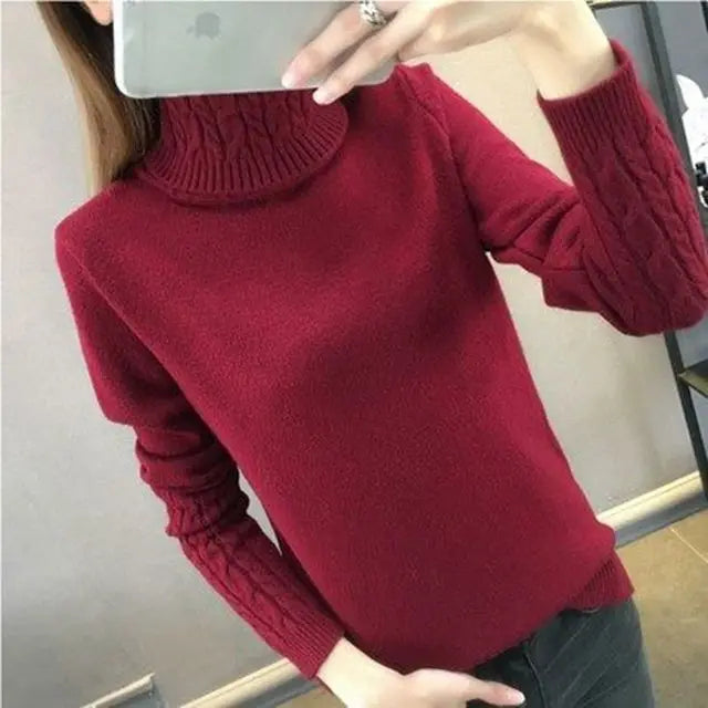 Women Sweater Turtleneck Pullovers Sweaters Long Sleeves Thick Warm Sweater-Dollar Bargains Online Shopping Australia