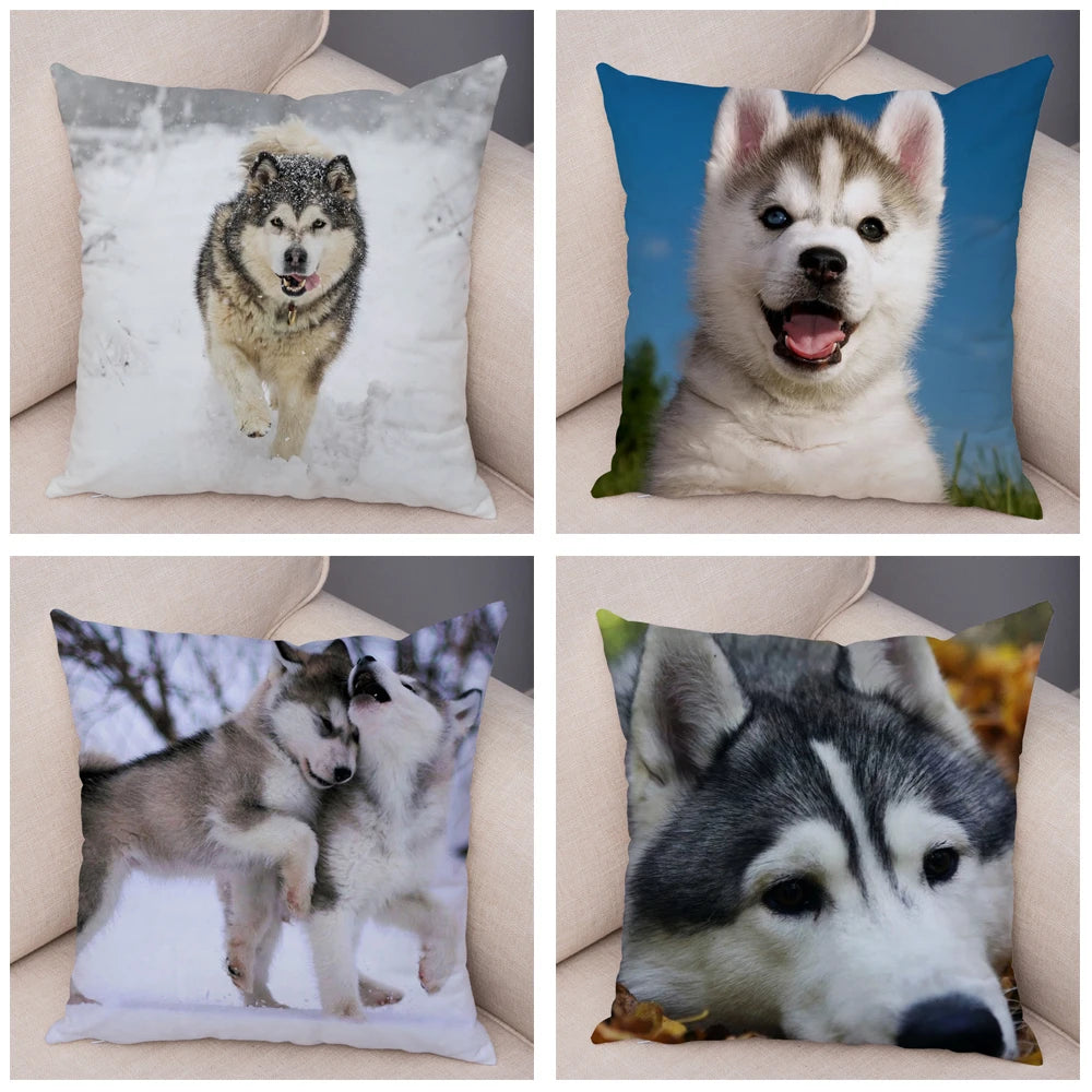 Decor Cute Siberian Husky Pillowcase Pet Dog Printed Super Soft Short Plush Pillow Case Animal Cushion Cover for Sofa