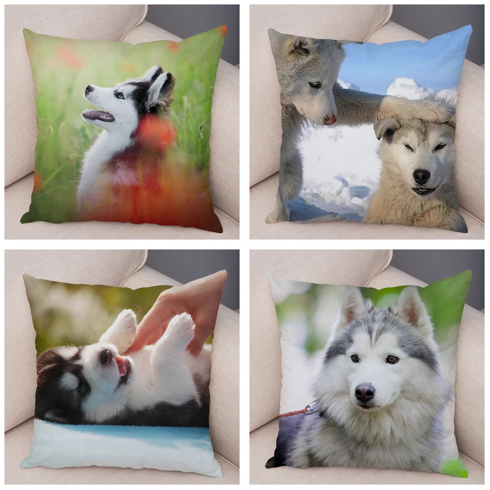 Decor Cute Siberian Husky Pillowcase Pet Dog Printed Super Soft Short Plush Pillow Case Animal Cushion Cover for Sofa