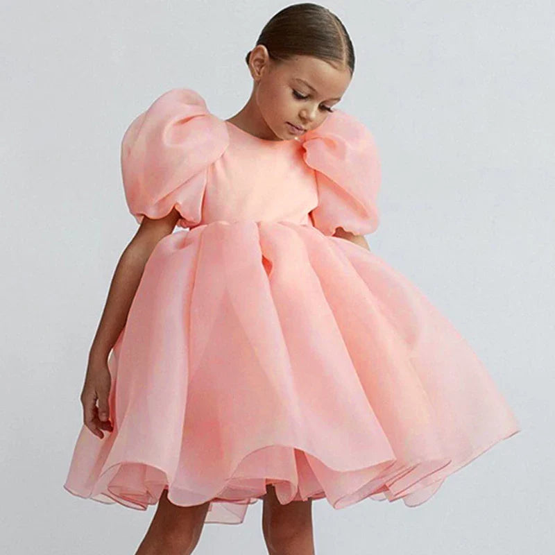 Girl Princess Dress Tulle Puff Sleeve Wedding Party Kids Dresses for Girls Birthday Child Clothes Bridemaids Gown-Dollar Bargains Online Shopping Australia