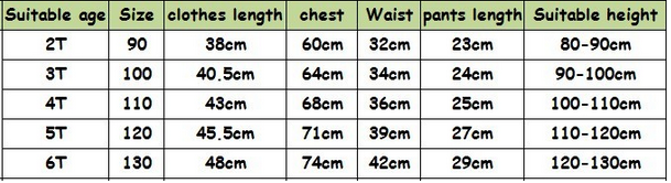 Girls Clothes Brand Girls Clothing Sets Kids Clothes Cartoon Children Clothing flower Tops+Shorts clothing set - CelebritystyleFashion.com.au online clothing shop australia