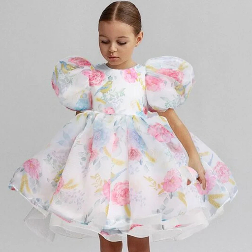 Girl Princess Dress Tulle Puff Sleeve Wedding Party Kids Dresses for Girls Birthday Child Clothes Bridemaids Gown-Dollar Bargains Online Shopping Australia