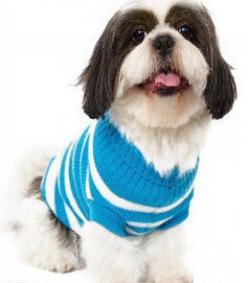 SZ XS-XXL Various Lovely Puppy Pet Cat Dog Sweater Knitted Coat Apparel Clothes for small dog Puppy-Dollar Bargains Online Shopping Australia