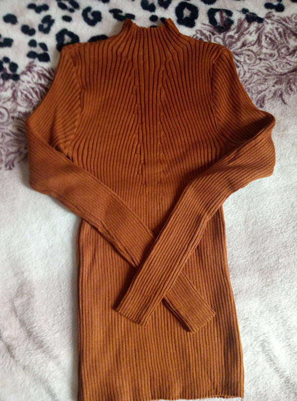 Women's turtleneck knitted sweaters 6 colors one size sweater women pull femme turtleneck sweater women - CelebritystyleFashion.com.au online clothing shop australia