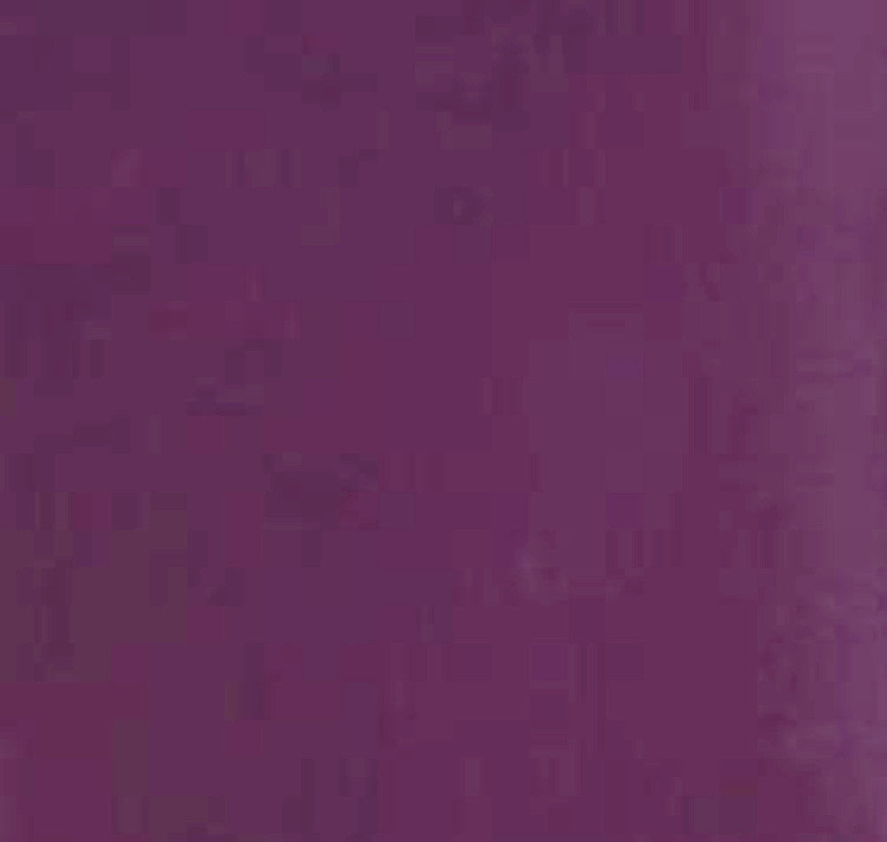 Thin Section Ladies Bodysuit Polo Turtle Neck Long Sleeve Stretch Leotard Top Women Leotard Dance Clothing 0015-Dollar Bargains Online Shopping Australia