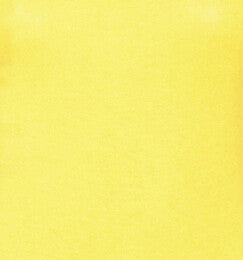 Thin Section Ladies Bodysuit Polo Turtle Neck Long Sleeve Stretch Leotard Top Women Leotard Dance Clothing 0015-Dollar Bargains Online Shopping Australia