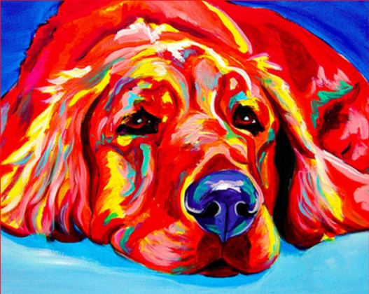 color Dog series Diy painting number diy oil paint by numbers kit painting canvas painting by numbers for kids adults art paint