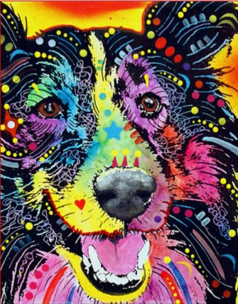 color Dog series Diy painting number diy oil paint by numbers kit painting canvas painting by numbers for kids adults art paint