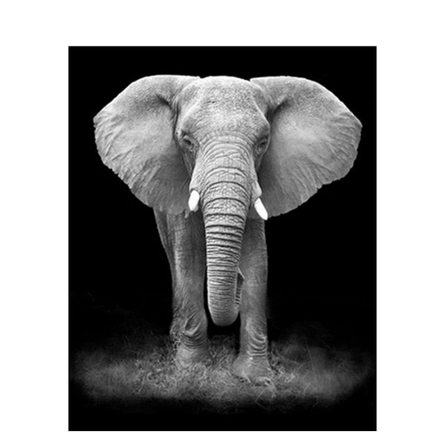 elephant series diy oil digital painting by numbers kits abstract acrylic paint by numbers for adults home decor