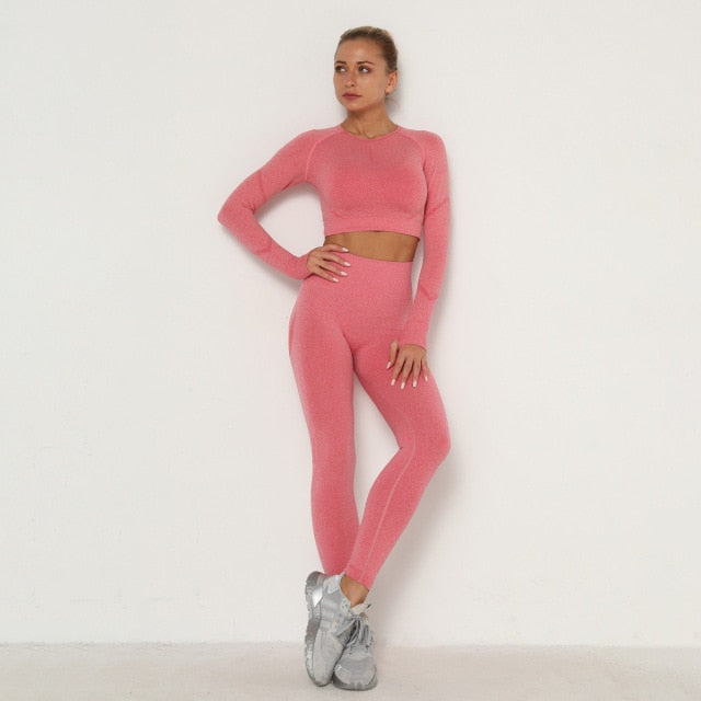 Seamless Women Sport Set For Gym Long Sleeve Top High Waist Belly Control Leggings Clothes Seamless Sport Suit Sexy Booty Girls-Dollar Bargains Online Shopping Australia