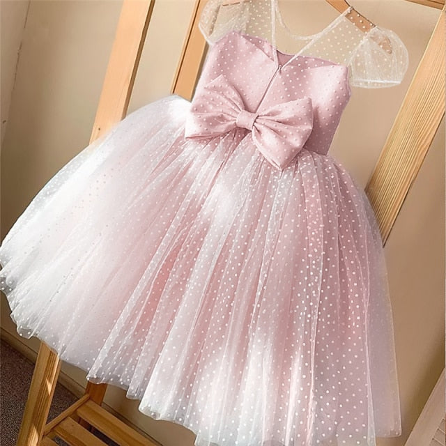 Girls Princess Kids Dresses for Girls Tutu Lace Flower Embroidered Ball Gown Baby Girls Clothes Children Wedding Party Dress