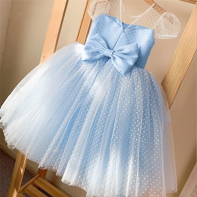 Girls Princess Kids Dresses for Girls Tutu Lace Flower Embroidered Ball Gown Baby Girls Clothes Children Wedding Party Dress