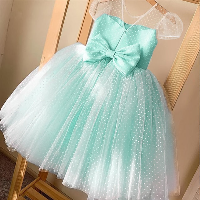 Girls Princess Kids Dresses for Girls Tutu Lace Flower Embroidered Ball Gown Baby Girls Clothes Children Wedding Party Dress