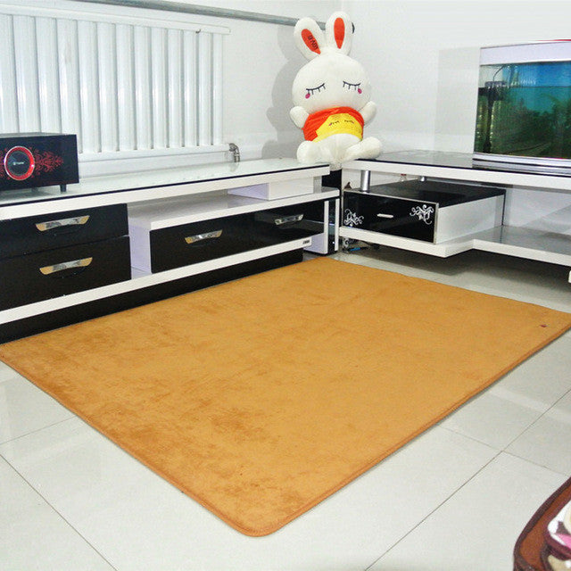 Soft Anti-skid thickening Coral Fleece Carpet for Living Dining Bedroom home decor floor carpet size 40*60 50*80 60*90 80*120cm