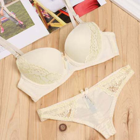 Lace Embroidery Bra Set Women Plus Size Push Up Underwear Set Bra and Panty Set 32 34 36 38 ABC Cup For Female-Dollar Bargains Online Shopping Australia
