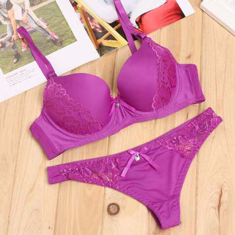 Lace Embroidery Bra Set Women Plus Size Push Up Underwear Set Bra and Panty Set 32 34 36 38 ABC Cup For Female-Dollar Bargains Online Shopping Australia