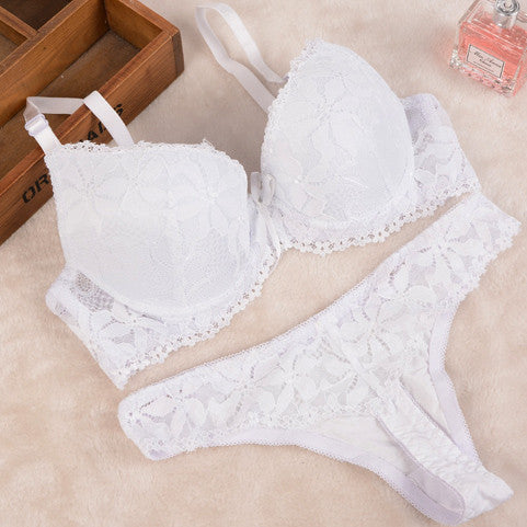 Lace Embroidery Bra Set Women Plus Size Push Up Underwear Set Bra and Panty Set 32 34 36 38 ABC Cup For Female-Dollar Bargains Online Shopping Australia