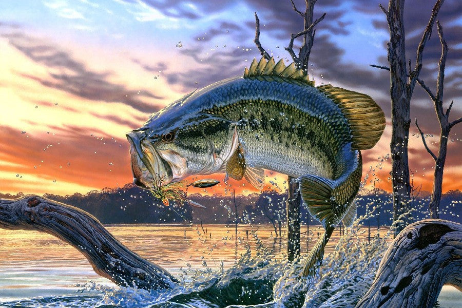 Bass Fishing Lake Sunset Painting Poster Art Silk Fabric Home Decoration Print-Dollar Bargains Online Shopping Australia