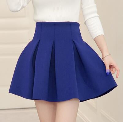 High Waist Women Skater Skirt Spring AutumnJoker Black Wine Red Purple Skirts Womens Saia Korean Style Ball Gown Faldas - CelebritystyleFashion.com.au online clothing shop australia