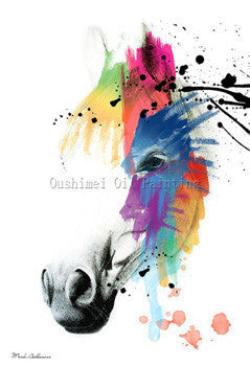 Frameless picture on wall acrylic painting by numbers abstract handpainted drawing unique gift Animal Lion king Oil painting-Dollar Bargains Online Shopping Australia