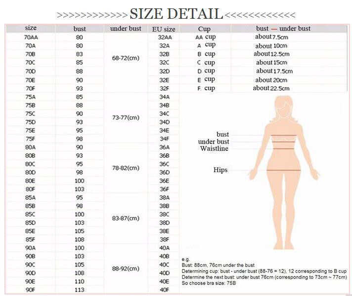 Fashion transparent sexy bra set plus size Women gauze embroidery ultra-thin underwear set lace brassiere and hollow out Panties