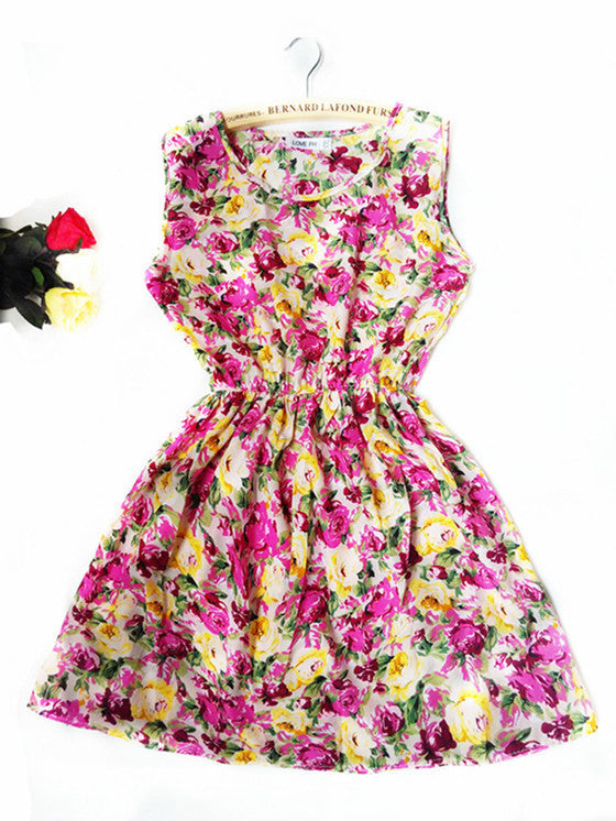 Brand Summer Women Casual Print Sleeveless Dress Chiffon stripe / floral print Elastic Waist Beach Dress