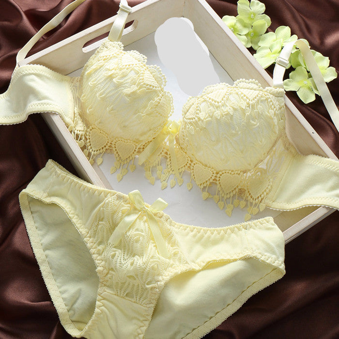 sexy lingerie bra brief sets underwear bra sets Tassels bar underwear