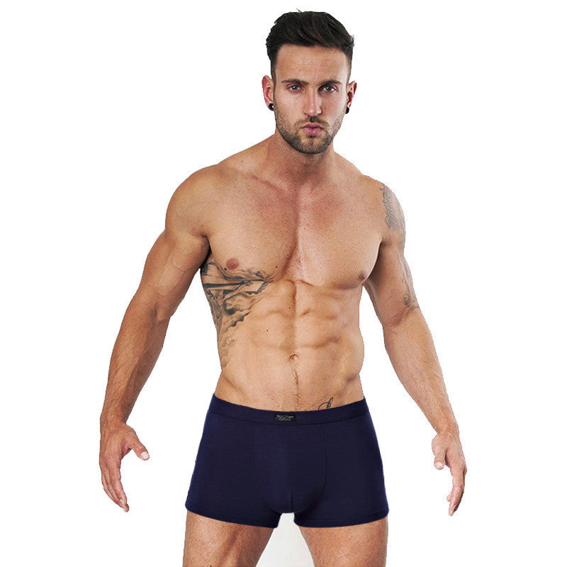 Men Boxers Cotton Underwear Man Solid Soft Boxer Homme Shorts For Mens Modal Panties Underpants