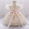 Infant Bow 1st birthday Baby Dress Costumes Flower Embroidery Princess Party Wedding Dress For Baby White First Communion Dress