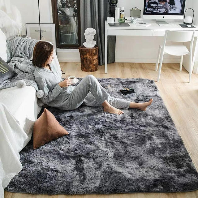 Plush Carpets For Living Room Shaggy Fluffy Fur 4cm Thicker Soft Sponge Velvet Area Rugs Home Decor Floor Mat Salon