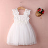 XMAS Baby Girls Party Lace Tulle Flower Gown Fancy Dridesmaid Dress Sundress Girls Dress